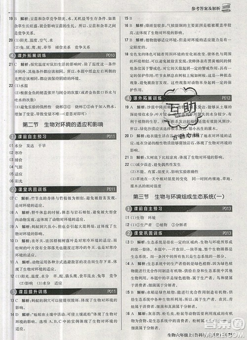 1加1轻巧夺冠优化训练六年级生物上册鲁科版五四制银版2019年秋参考答案 1加1轻巧夺冠优化训练六年级生物上册鲁科版五四制银版2019年秋参考答案