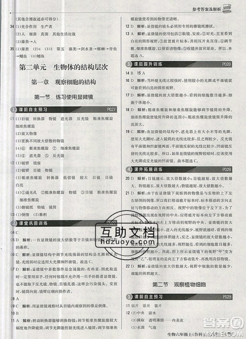 1加1轻巧夺冠优化训练六年级生物上册鲁科版五四制银版2019年秋参考答案 1加1轻巧夺冠优化训练六年级生物上册鲁科版五四制银版2019年秋参考答案