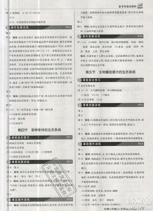 1加1轻巧夺冠优化训练六年级生物上册鲁科版五四制银版2019年秋参考答案 1加1轻巧夺冠优化训练六年级生物上册鲁科版五四制银版2019年秋参考答案