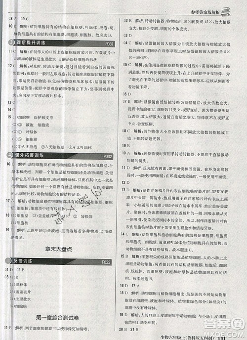1加1轻巧夺冠优化训练六年级生物上册鲁科版五四制银版2019年秋参考答案 1加1轻巧夺冠优化训练六年级生物上册鲁科版五四制银版2019年秋参考答案