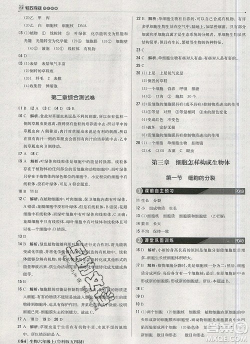 1加1轻巧夺冠优化训练六年级生物上册鲁科版五四制银版2019年秋参考答案 1加1轻巧夺冠优化训练六年级生物上册鲁科版五四制银版2019年秋参考答案