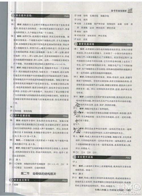 1加1轻巧夺冠优化训练六年级生物上册鲁科版五四制银版2019年秋参考答案 1加1轻巧夺冠优化训练六年级生物上册鲁科版五四制银版2019年秋参考答案