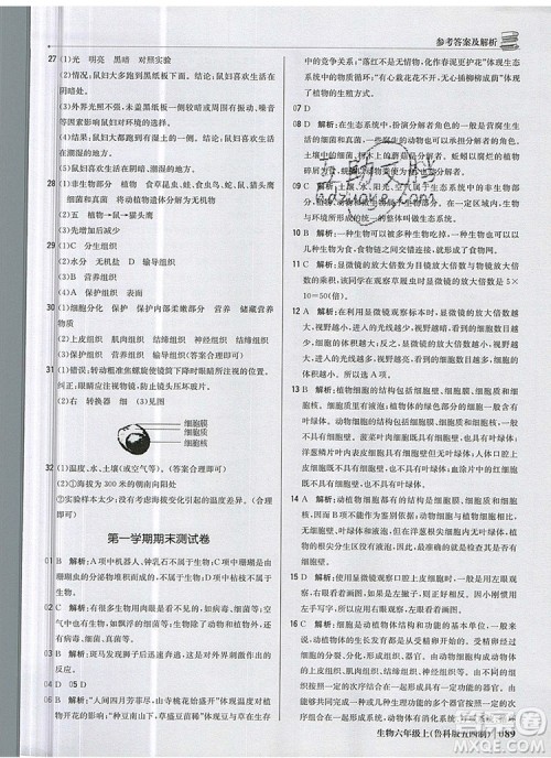 1加1轻巧夺冠优化训练六年级生物上册鲁科版五四制银版2019年秋参考答案 1加1轻巧夺冠优化训练六年级生物上册鲁科版五四制银版2019年秋参考答案