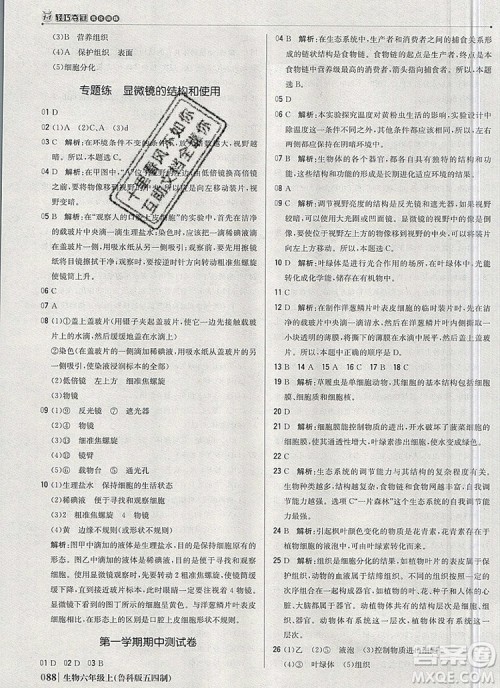 1加1轻巧夺冠优化训练六年级生物上册鲁科版五四制银版2019年秋参考答案 1加1轻巧夺冠优化训练六年级生物上册鲁科版五四制银版2019年秋参考答案