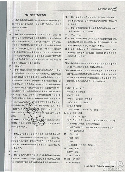 1加1轻巧夺冠优化训练六年级生物上册鲁科版五四制银版2019年秋参考答案 1加1轻巧夺冠优化训练六年级生物上册鲁科版五四制银版2019年秋参考答案