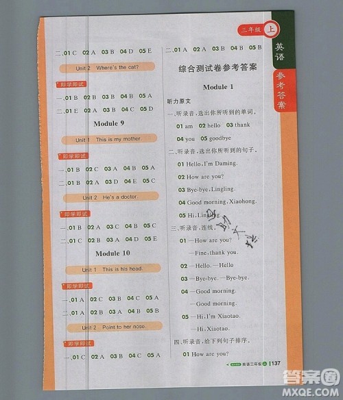 2019年外研版1加1轻巧夺冠课堂直播三年级英语上册参考答案 2019年外研版1加1轻巧夺冠课堂直播三年级英语上册参考答案