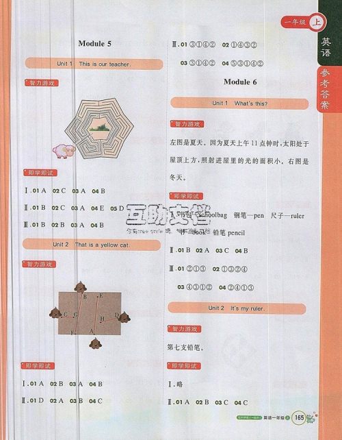 2019年1加1轻巧夺冠课堂直播一年级英语上册外研版一起参考答案 2019年1加1轻巧夺冠课堂直播一年级英语上册外研版一起参考答案