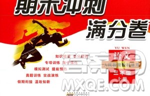 2019期末冲刺满分卷三年级语文上册人民教育教材适用答案 2019期末冲刺满分卷三年级语文上册人民教育教材适用答案