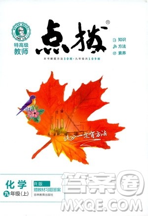 2019年荣德基特高级教师点拨化学九年级上R版人教版参考答案 2019年荣德基特高级教师点拨化学九年级上R版人教版参考答案