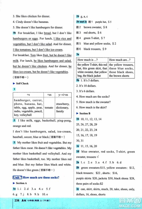 2019年荣德基特高级教师点拨英语七年级上R版人教版参考答案 2019年荣德基特高级教师点拨英语七年级上R版人教版参考答案