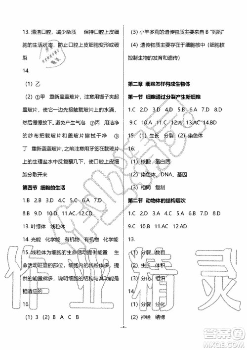 海天出版社2019秋知识与能力训练生物七年级上册人教版参考答案