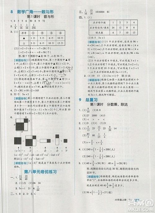 全品作业本六年级数学上册人教版2019年秋新版答案