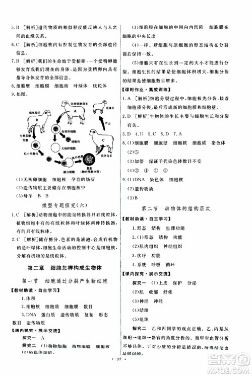 2019年能力培养与测试生物学七年级上册人教版参考答案