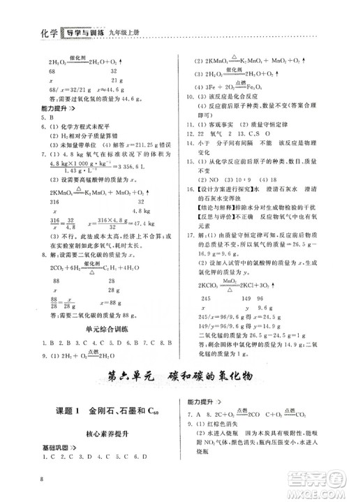 山东人民出版社2019导学与训练化学九年级上册人教版答案