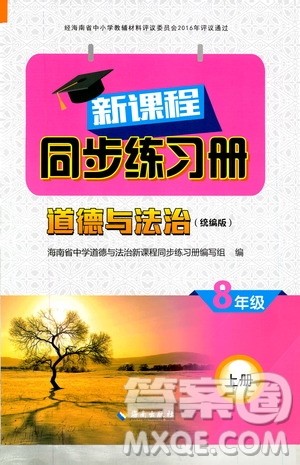 2019海南出版社新课程同步练习册道德与法治八年级上册统编版答案