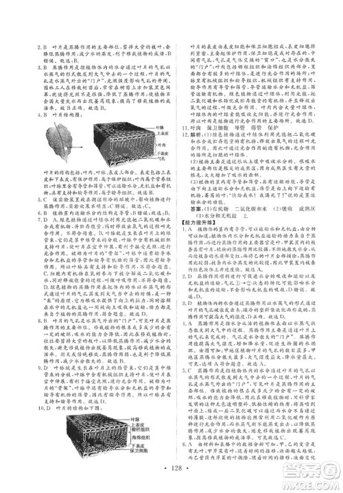 2019海南出版社新课程同步练习册生物学七年级上册北师大版答案