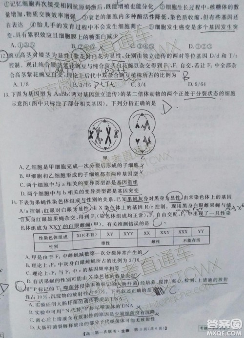 皖南八校2020届高三第一次联考生物试题及参考答案 皖南八校2020届高三第一次联考生物试题及参考答案