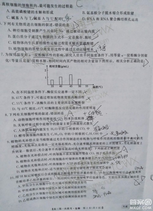 皖南八校2020届高三第一次联考生物试题及参考答案 皖南八校2020届高三第一次联考生物试题及参考答案