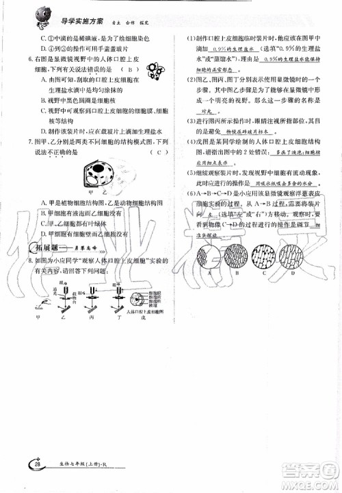 金太阳教育2019年金太阳导学案生物七年级上册创新版参考答案