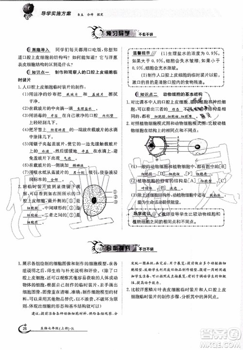 金太阳教育2019年金太阳导学案生物七年级上册创新版参考答案