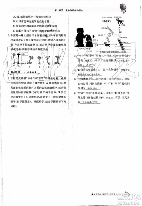 金太阳教育2019年金太阳导学案生物七年级上册创新版参考答案 金太阳教育2019年金太阳导学案生物七年级上册创新版参考答案