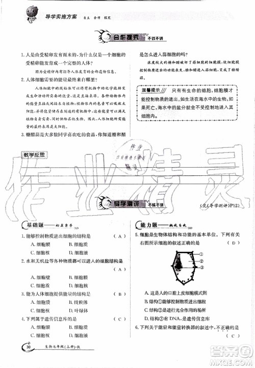 金太阳教育2019年金太阳导学案生物七年级上册创新版参考答案