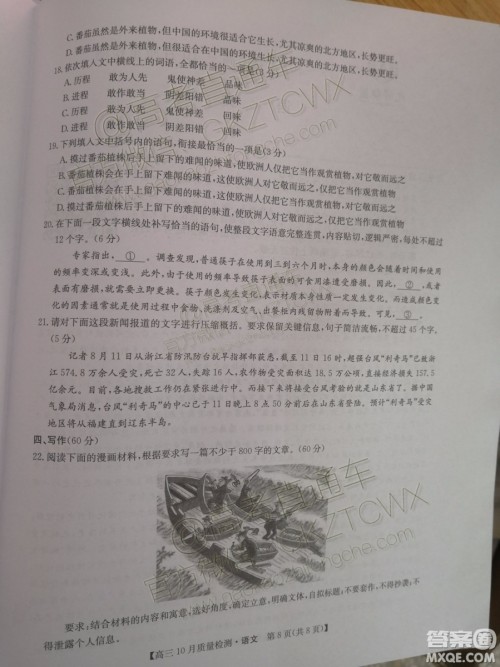 2020届河南九师联盟高三10月联考语文试题及答案 2020届河南九师联盟高三10月联考语文试题及答案