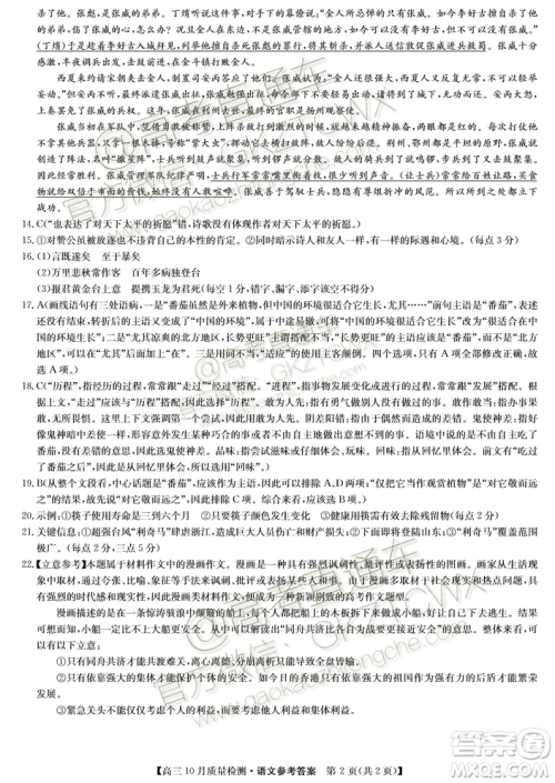 2020届河南九师联盟高三10月联考语文试题及答案 2020届河南九师联盟高三10月联考语文试题及答案