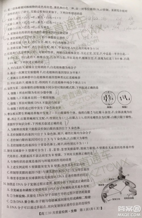 2020届河南九师联盟高三10月联考生物试题及答案
