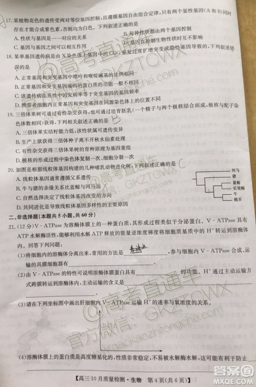 2020届河南九师联盟高三10月联考生物试题及答案
