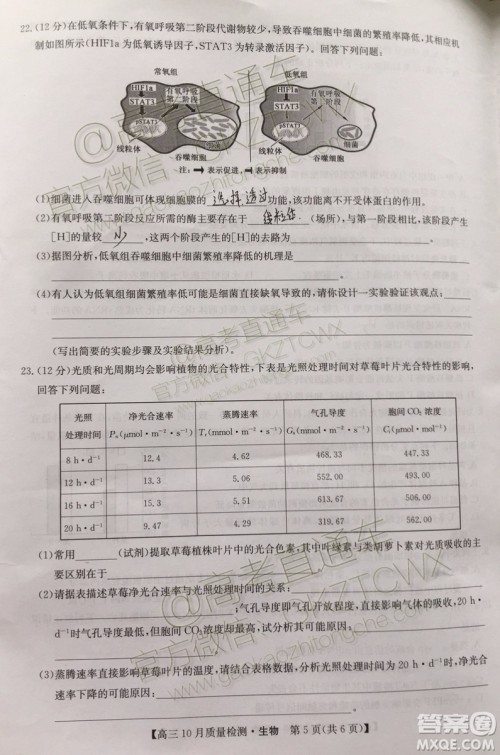 2020届河南九师联盟高三10月联考生物试题及答案