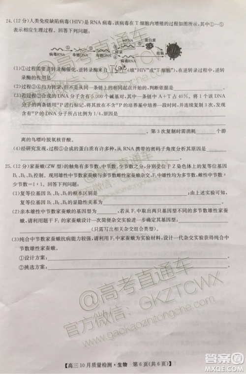 2020届河南九师联盟高三10月联考生物试题及答案