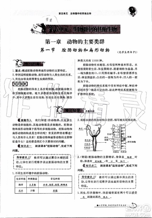金太阳教育2019年金太阳导学案生物八年级上册创新版参考答案 金太阳教育2019年金太阳导学案生物八年级上册创新版参考答案