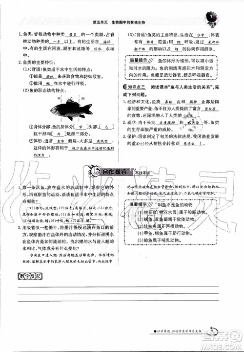 金太阳教育2019年金太阳导学案生物八年级上册创新版参考答案 金太阳教育2019年金太阳导学案生物八年级上册创新版参考答案