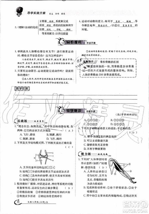 金太阳教育2019年金太阳导学案生物八年级上册创新版参考答案 金太阳教育2019年金太阳导学案生物八年级上册创新版参考答案