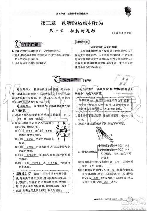 金太阳教育2019年金太阳导学案生物八年级上册创新版参考答案 金太阳教育2019年金太阳导学案生物八年级上册创新版参考答案
