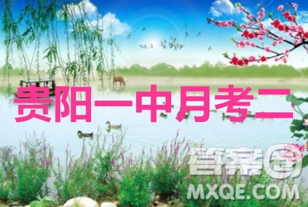 2020届贵阳一中高考适应性月考二语文试题及参考答案