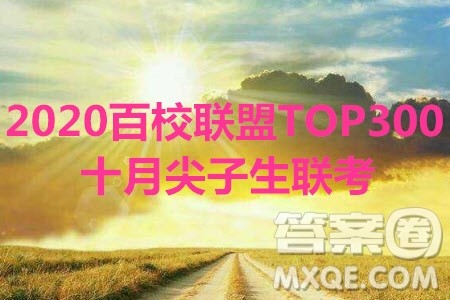 2020百校联盟TOP300十月尖子生联考文数试题及参考答案