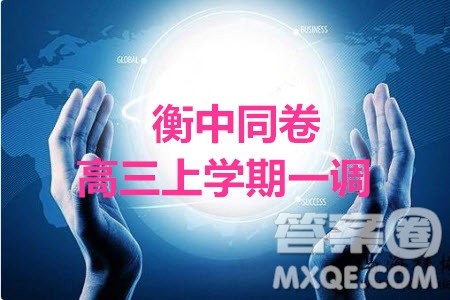 2020届衡中同卷高三上学期一调考试文科数学试题及答案