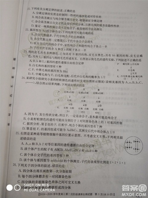 2020届吉林金太阳高三10月联考生物试题及参考答案