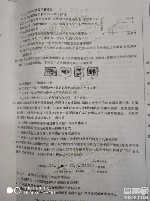 2020届吉林金太阳高三10月联考生物试题及参考答案