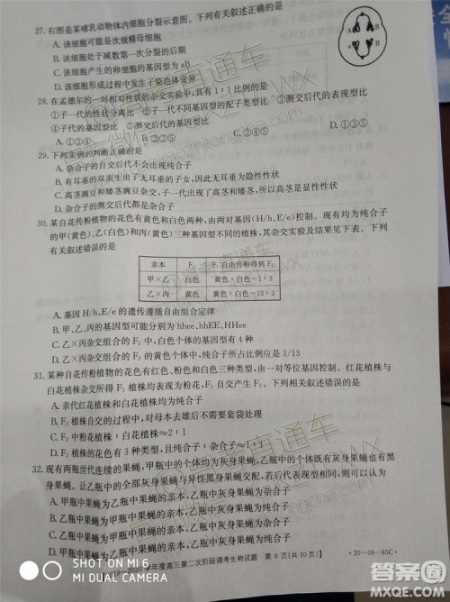 2020届吉林金太阳高三10月联考生物试题及参考答案 2020届吉林金太阳高三10月联考生物试题及参考答案