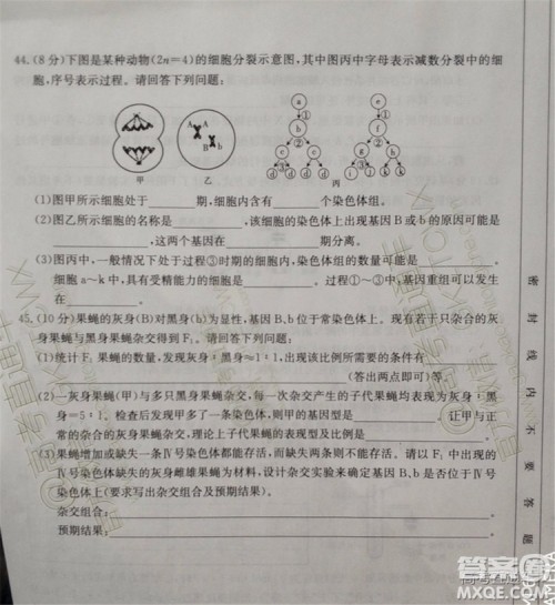 2020届吉林金太阳高三10月联考生物试题及参考答案