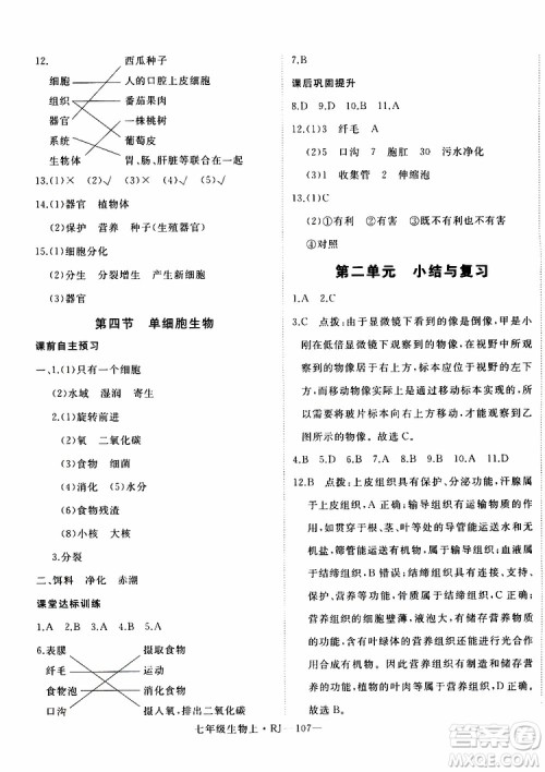 2019秋优翼丛书学练优生物七年级上RJ人教版参考答案