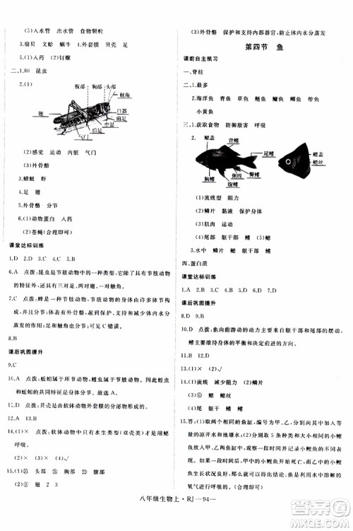 2019秋优翼丛书学练优生物八年级上RJ人教版参考答案