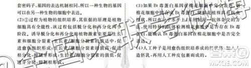 四省八校2020届高三第一次教学质量检测考试理科综合答案 四省八校2020届高三第一次教学质量检测考试理科综合答案