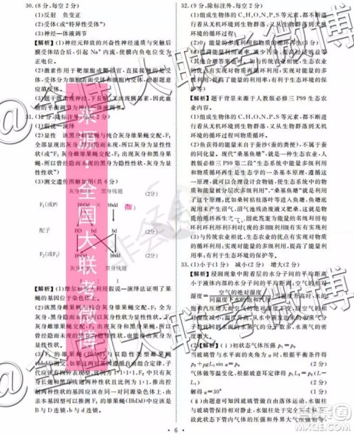 四省八校2020届高三第一次教学质量检测考试理科综合答案 四省八校2020届高三第一次教学质量检测考试理科综合答案