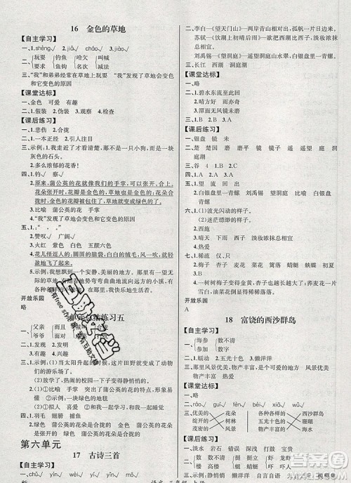 2019年秋人教版河北专版同步导学案课时练三年级语文上册答案