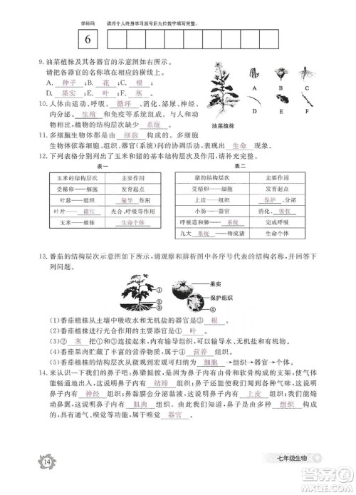 江西教育出版社2019生物作业本七年级上册河北少儿版答案
