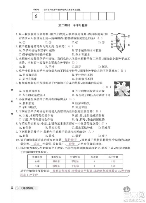江西教育出版社2019生物作业本七年级上册河北少儿版答案